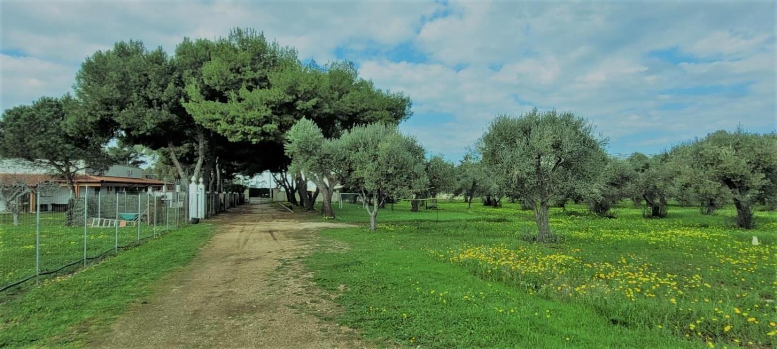Villa Laura Бари Екстериор снимка