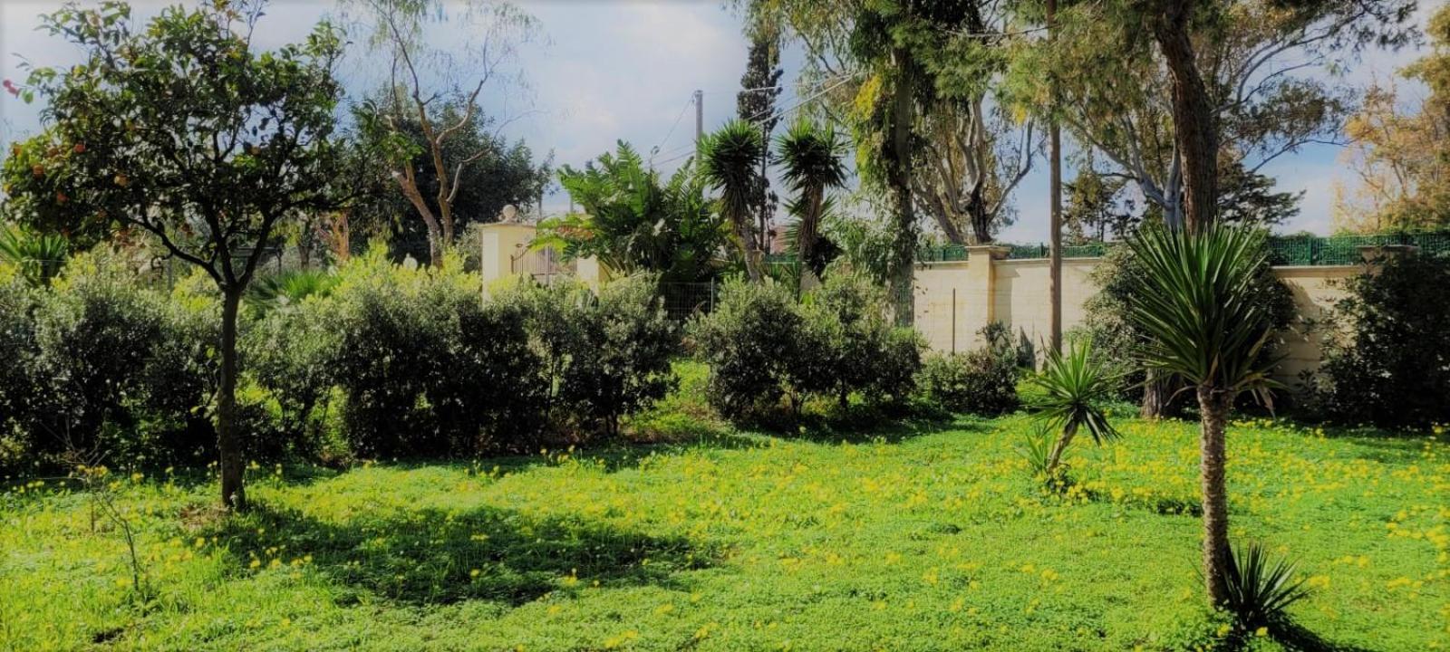 Villa Laura Бари Екстериор снимка