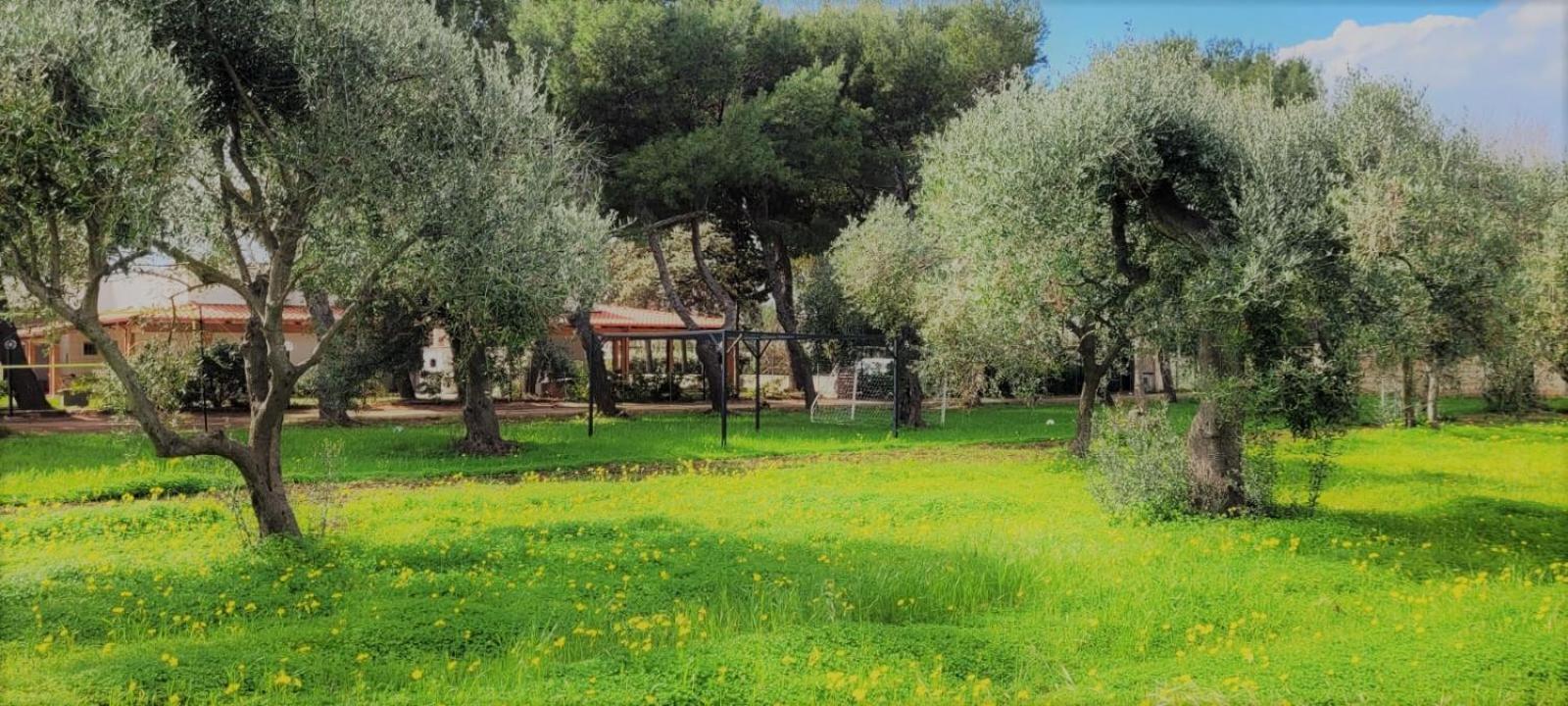 Villa Laura Бари Екстериор снимка